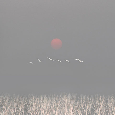 There are gods in the sky White Modern Wood Framed Art Print with Double Matting by Fei, Hsiao-Yang