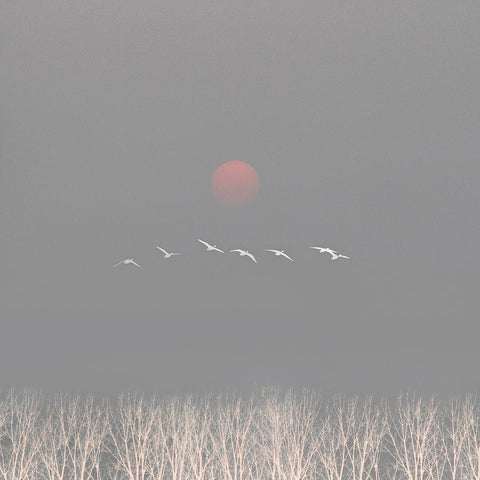 There are gods in the sky Black Modern Wood Framed Art Print by Fei, Hsiao-Yang