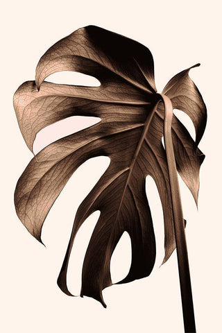 Monstera Gold White Modern Wood Framed Art Print with Double Matting by 1x Studio III