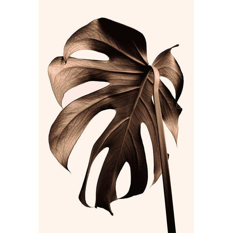 Monstera Gold Black Modern Wood Framed Art Print with Double Matting by 1x Studio III