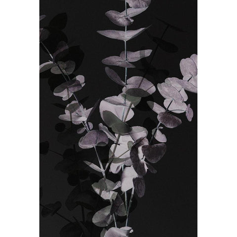 Eucalyptus_Negative_001 Black Modern Wood Framed Art Print with Double Matting by 1x Studio III