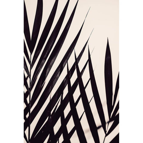 Guldpalm black White Modern Wood Framed Art Print by 1x Studio III