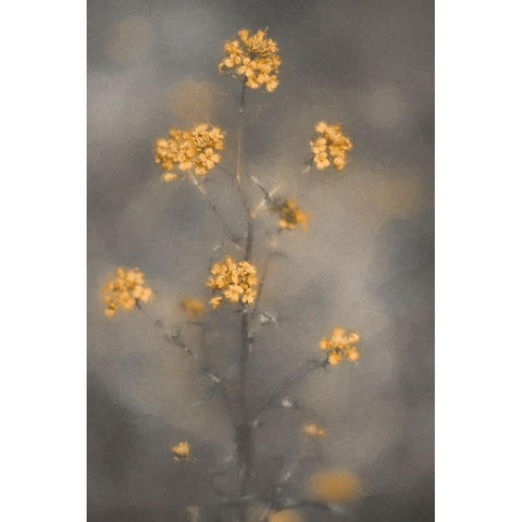 Spring Vibes White Modern Wood Framed Art Print by Kiral, Cicek