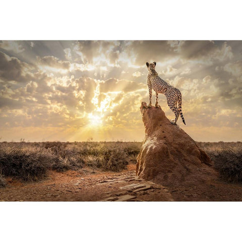 SundownCheetah Gold Ornate Wood Framed Art Print with Double Matting by Egger, Marcel