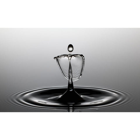 Waterdancer Black Modern Wood Framed Art Print by Schade, Peter