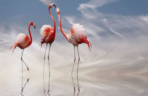 ... White Modern Wood Framed Art Print with Double Matting by Cseresnjes, Anna