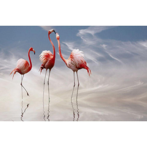 ... Black Modern Wood Framed Art Print with Double Matting by Cseresnjes, Anna