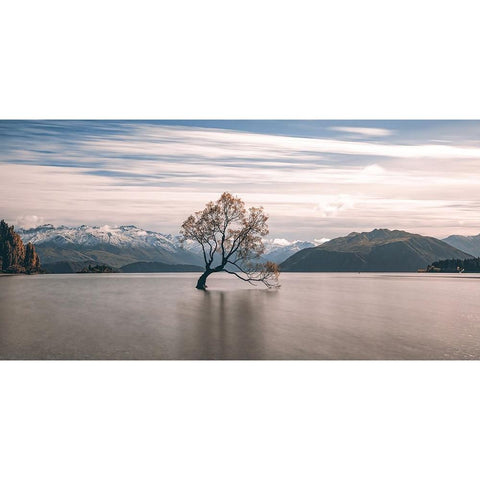 lonely tree Black Modern Wood Framed Art Print by Xiaobei, Han