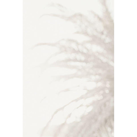 Palm_008 Black Modern Wood Framed Art Print by 1x Studio III