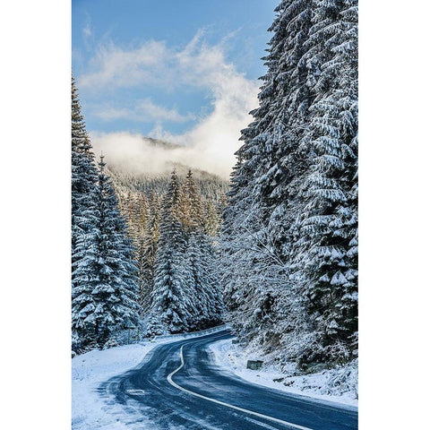 The Road White Modern Wood Framed Art Print by Gabriel, Hotea