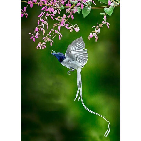 Finally Got It White Modern Wood Framed Art Print by Muliani Hartojo, Angela