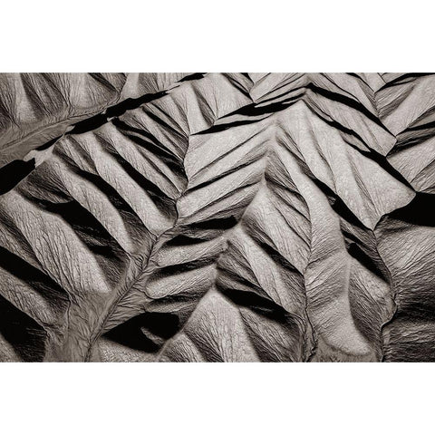 Bared land White Modern Wood Framed Art Print by Dou, Shenshen