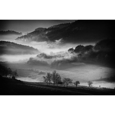 Morning Walk Black Modern Wood Framed Art Print by Svoboda Mqep, Peter