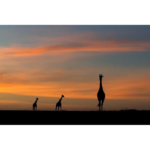 ddidcdsd ddldcdndids dydcdcd d ddcddbdudsd Black Modern Wood Framed Art Print by Sobhi, Ahmed