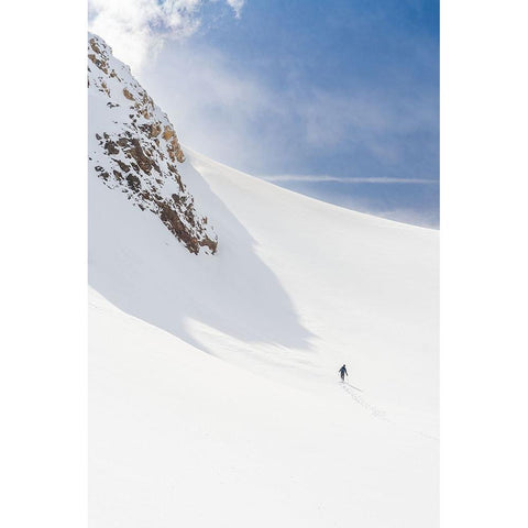 Size contrast Gold Ornate Wood Framed Art Print with Double Matting by Iezzi, Leonardo