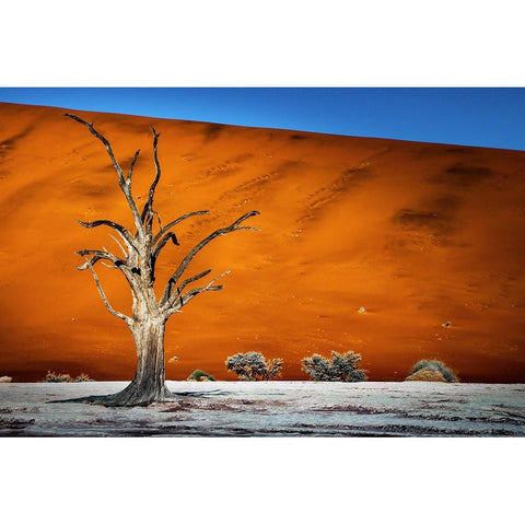 Namibia Black Modern Wood Framed Art Print with Double Matting by Gumerov, Taymuraz