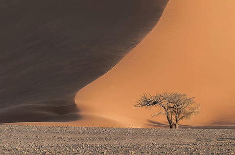 Dune 45 Black Ornate Wood Framed Art Print with Double Matting by Michiels, Bart