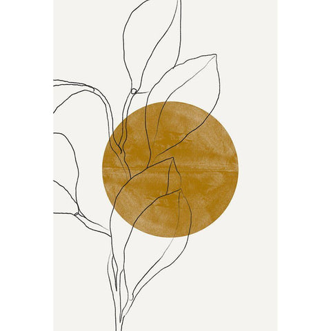 Plant and Sun Black Modern Wood Framed Art Print with Double Matting by The Miuus Studio