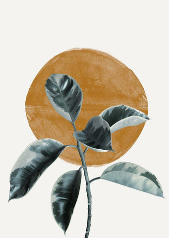 Sun and Ficus Black Ornate Wood Framed Art Print with Double Matting by The Miuus Studio