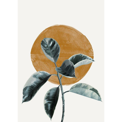 Sun and Ficus White Modern Wood Framed Art Print by The Miuus Studio