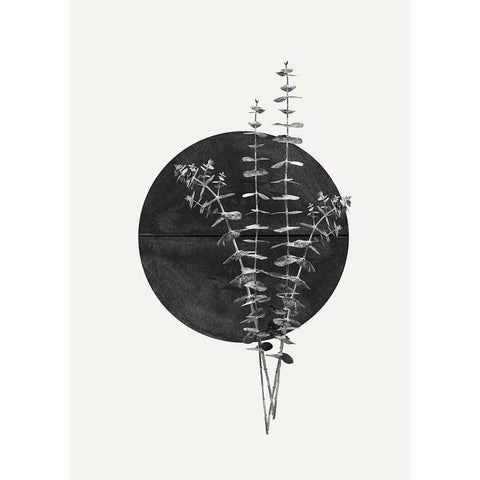 Plant and Black Sun White Modern Wood Framed Art Print by The Miuus Studio