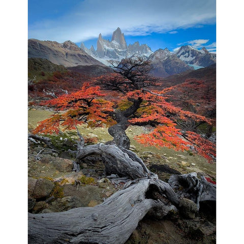 Autum in Fitz Roy Black Modern Wood Framed Art Print with Double Matting by Li, Bing