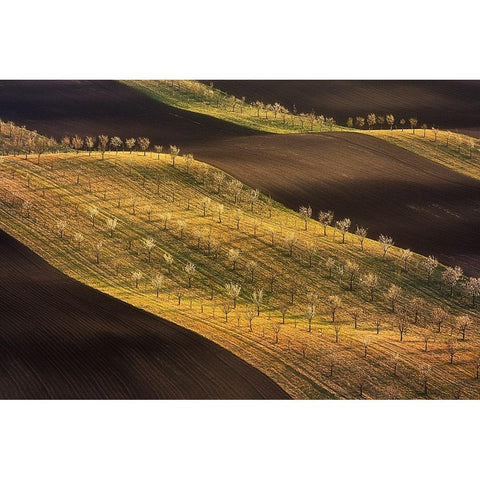 Moravian Tuscany Waves #2 Black Modern Wood Framed Art Print with Double Matting by Moravek, Martin