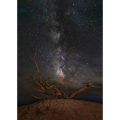 Gobi Desert Night Black Modern Wood Framed Art Print with Double Matting by Yu Wu, Irene