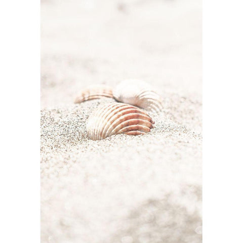 Beach_013 White Modern Wood Framed Art Print by 1x Studio III