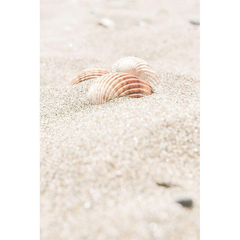 Beach_014 Gold Ornate Wood Framed Art Print with Double Matting by 1x Studio III