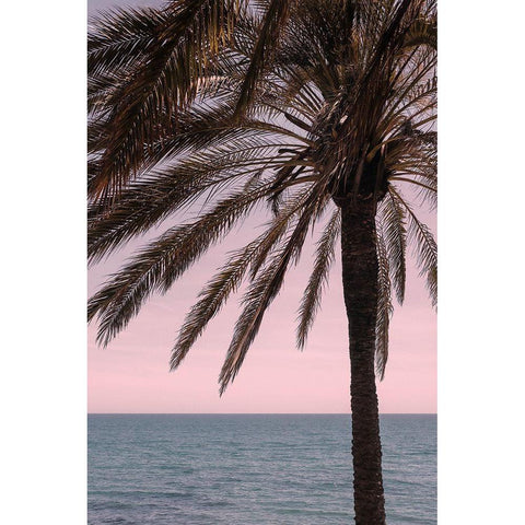 Palm_010 White Modern Wood Framed Art Print by 1x Studio III