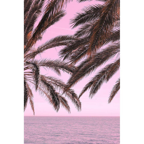 Palm Pink_001 Gold Ornate Wood Framed Art Print with Double Matting by 1x Studio III