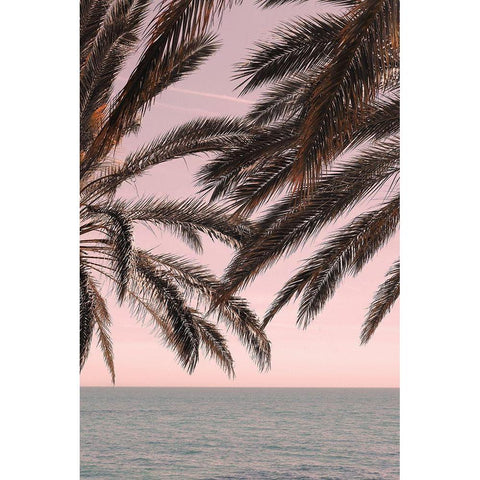 Palm_011 Black Modern Wood Framed Art Print with Double Matting by 1x Studio III