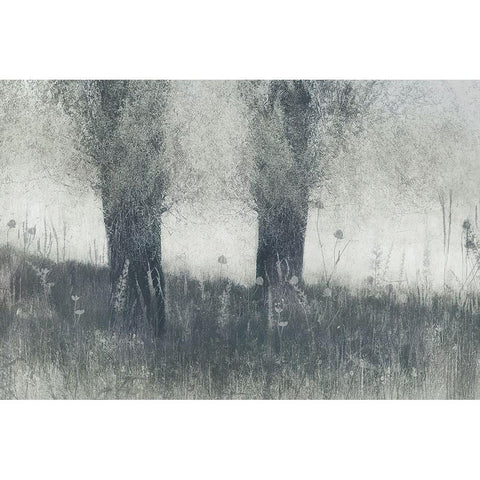 Memories Black Modern Wood Framed Art Print with Double Matting by Talen, Nel