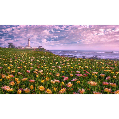 Lighthouse of Succulence White Modern Wood Framed Art Print by Li, Sophia