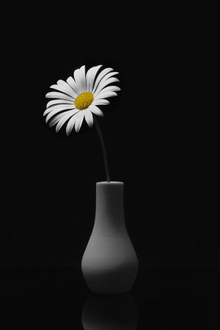 Happy-Go-Lucky White Modern Wood Framed Art Print with Double Matting by Ulrich Gandenberger, Frank