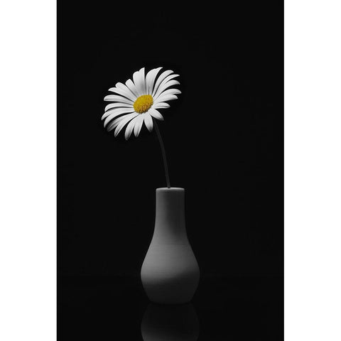 Happy-Go-Lucky Black Modern Wood Framed Art Print by Ulrich Gandenberger, Frank