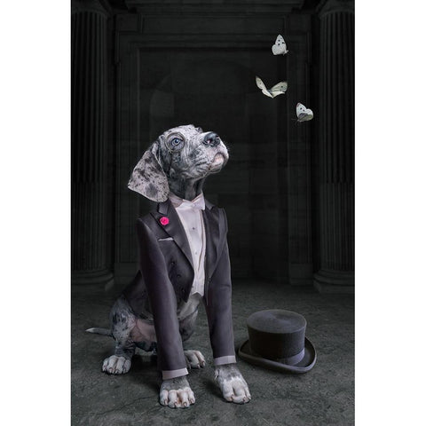 LordDog Black Modern Wood Framed Art Print by Egger, Marcel