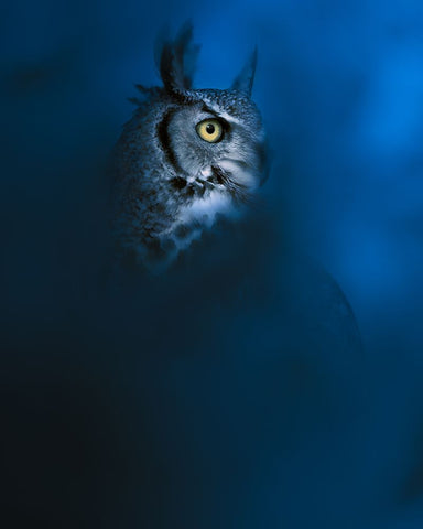 Blue White Modern Wood Framed Art Print with Double Matting by Sobhi, Ahmed