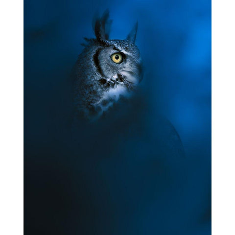 Blue Black Modern Wood Framed Art Print by Sobhi, Ahmed