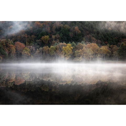 The mystical pond in the autumn Gold Ornate Wood Framed Art Print with Double Matting by Suzuki, Daiki