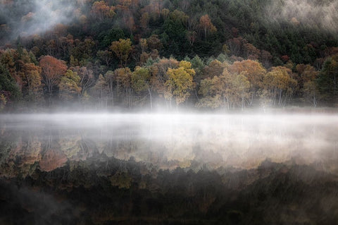 The mystical pond in the autumn White Modern Wood Framed Art Print with Double Matting by Suzuki, Daiki