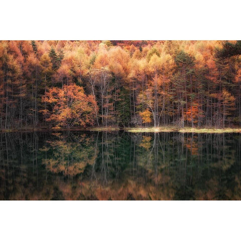 Beautiful reflection in Autumn Gold Ornate Wood Framed Art Print with Double Matting by Suzuki, Daiki