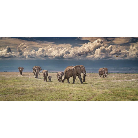 Amboseli wonderland White Modern Wood Framed Art Print by C. Sink, Jeffrey