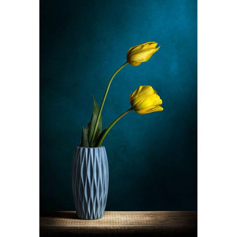 Sguardi ad Est White Modern Wood Framed Art Print by Vitale, Adriana