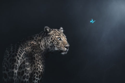 Imagination Black Ornate Wood Framed Art Print with Double Matting by Guha, Jayanta