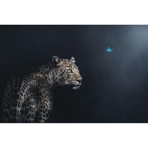 Imagination Black Modern Wood Framed Art Print with Double Matting by Guha, Jayanta