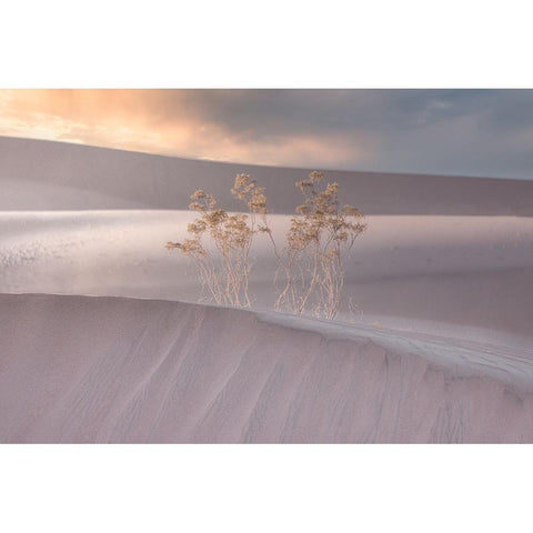 Untitled White Modern Wood Framed Art Print by Ali Amir, Abbas