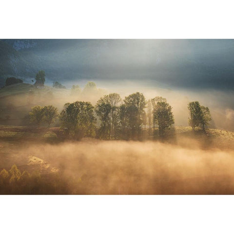 Sunrise veil Black Modern Wood Framed Art Print by Ionut Coman, Alexandru