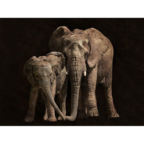 Contact White Modern Wood Framed Art Print by I. Cuadrado, Juan